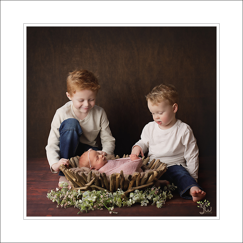 Lacey newborn photographer